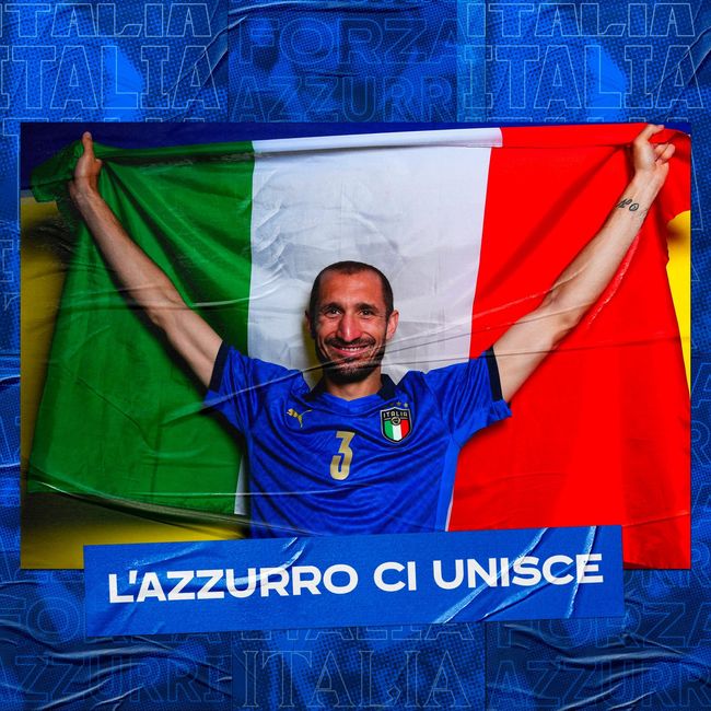 有望回归马 有望回归马