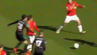 的高性价比 的高性价比